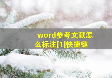 word参考文献怎么标注[1]快捷键